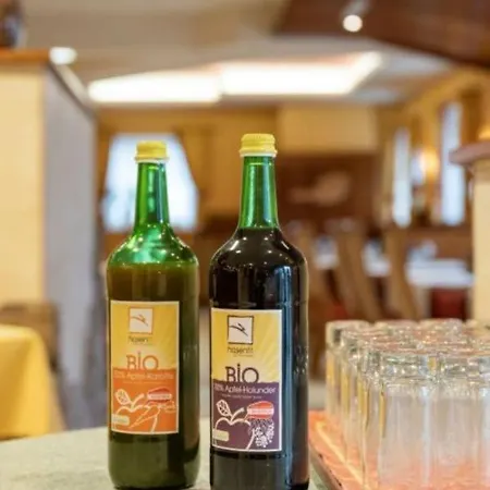 Posthotel Hotel Radstadt