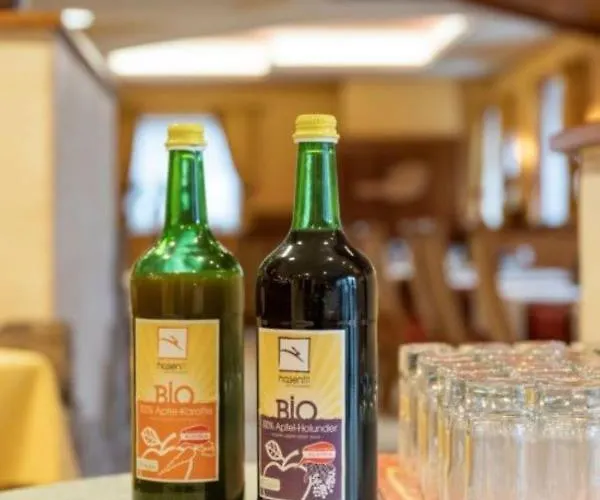 Posthotel Hotel Radstadt